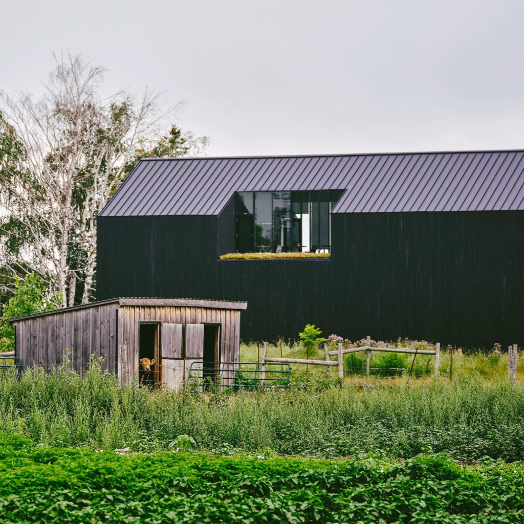 Restaurant Pearl Morissette